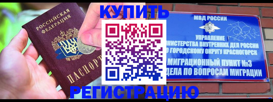 прописка законно в Звенигово